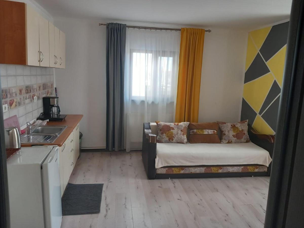 Ferienwohnung Casa Davison Târgu Jiu Exterior foto