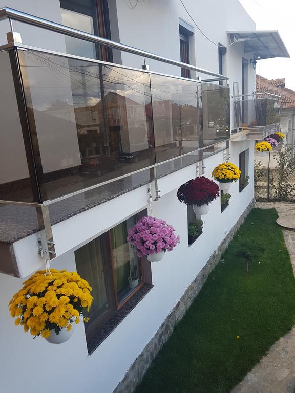 Ferienwohnung Casa Davison Târgu Jiu Exterior foto